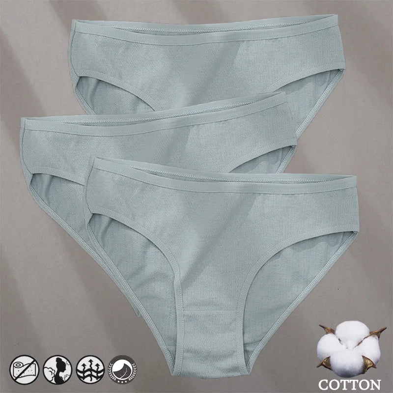 3PCS Cotton Jacquard Panties – Women's Underwear, Sexy Lingerie, Solid Color, Comfortable Briefs, Intimate Wear