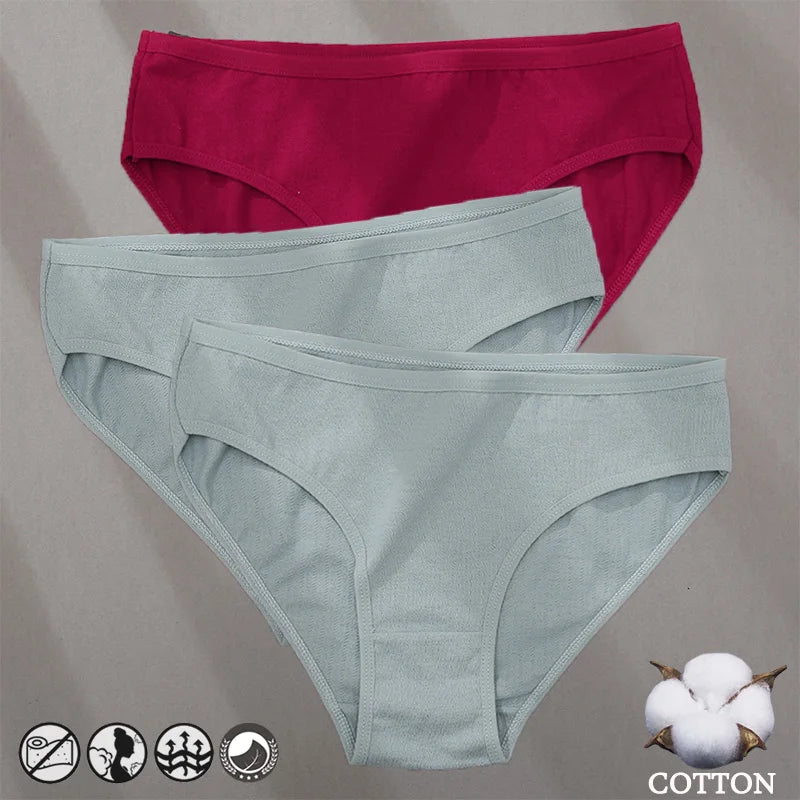 3PCS Cotton Jacquard Panties – Women's Underwear, Sexy Lingerie, Solid Color, Comfortable Briefs, Intimate Wear