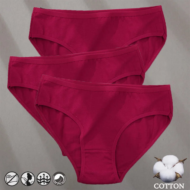 3PCS Cotton Jacquard Panties – Women's Underwear, Sexy Lingerie, Solid Color, Comfortable Briefs, Intimate Wear