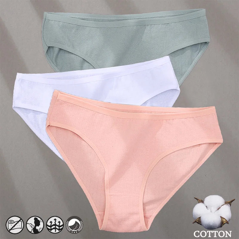 3PCS Cotton Jacquard Panties – Women's Underwear, Sexy Lingerie, Solid Color, Comfortable Briefs, Intimate Wear
