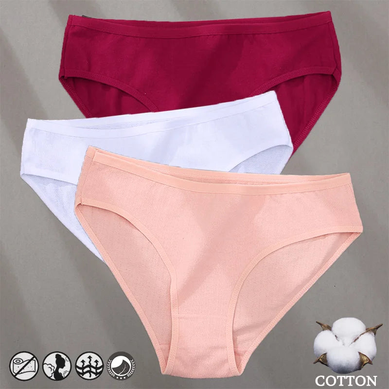 3PCS Cotton Jacquard Panties – Women's Underwear, Sexy Lingerie, Solid Color, Comfortable Briefs, Intimate Wear