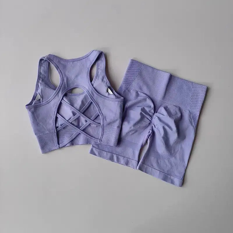 2PCS Seamless Yoga Set – High Waist Shorts & Sport Bra for Gym & Fitness