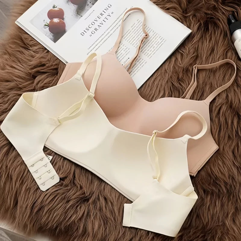 2PCS Set Non-Wire Bras – Seamless Underwear, Small Breast Cups, Tube Tops, Sexy Lingerie, Comfortable Female Bralette