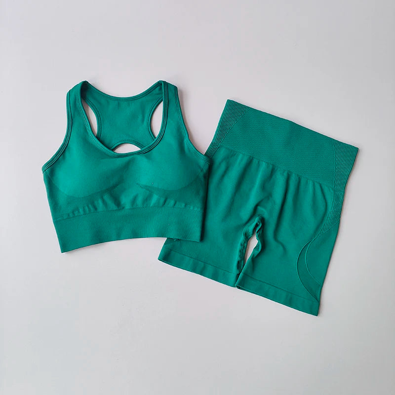 2PCS Seamless Yoga Set – High Waist Shorts & Sport Bra for Gym & Fitness