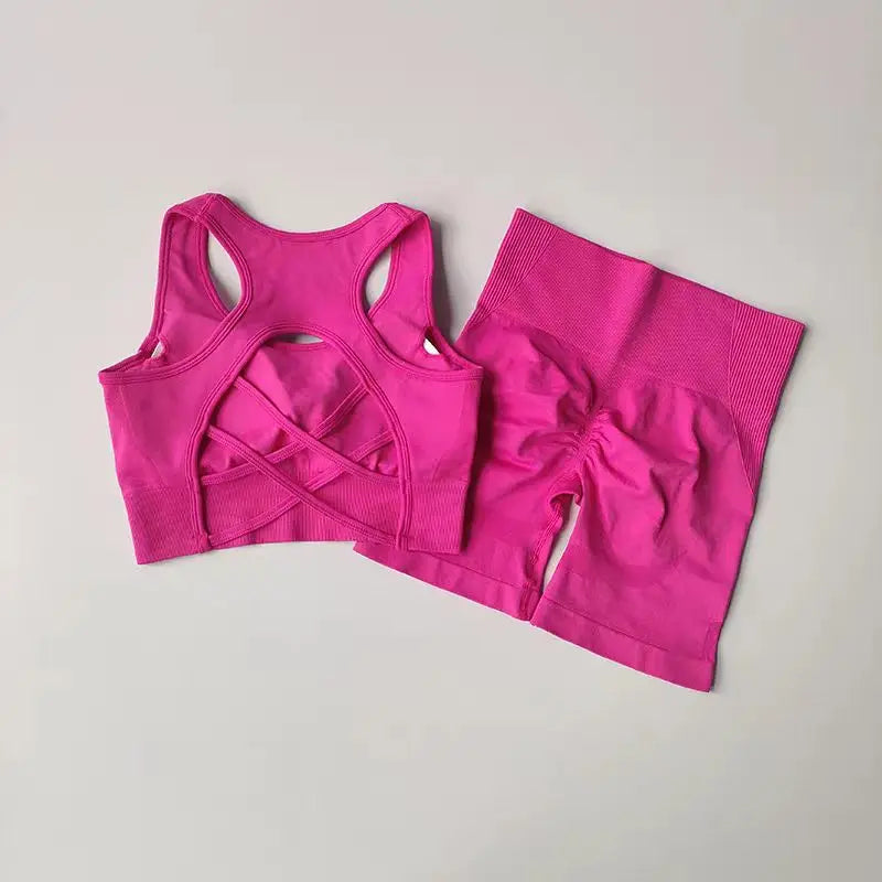 2PCS Seamless Yoga Set – High Waist Shorts & Sport Bra for Gym & Fitness