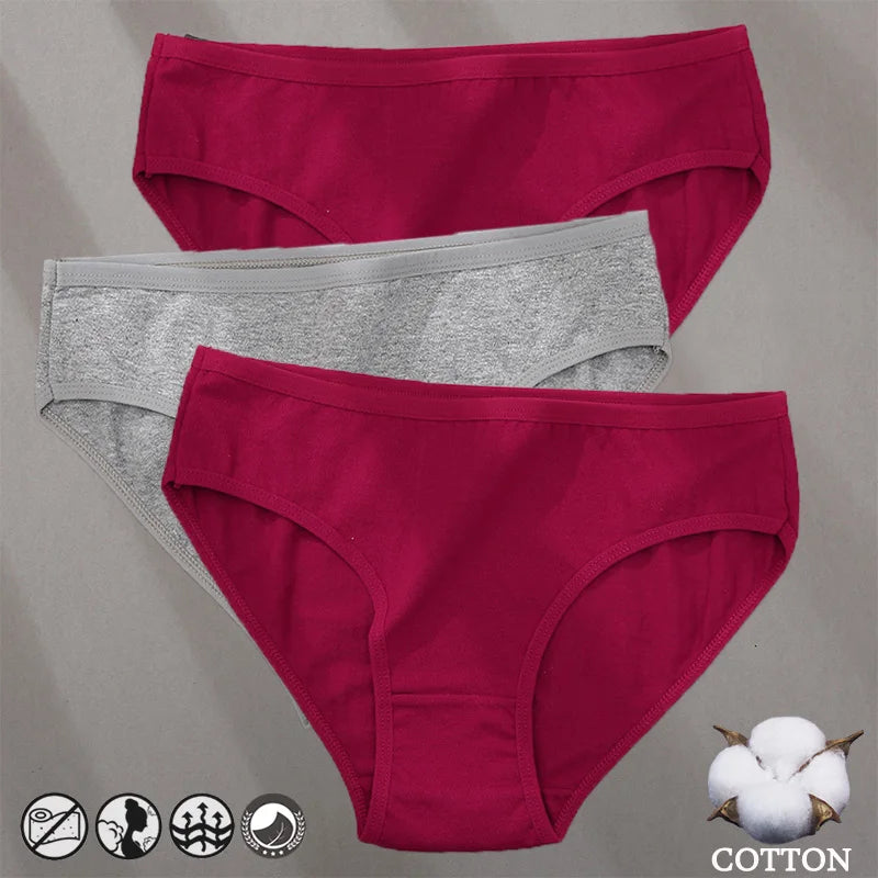 3PCS Cotton Jacquard Panties – Women's Underwear, Sexy Lingerie, Solid Color, Comfortable Briefs, Intimate Wear