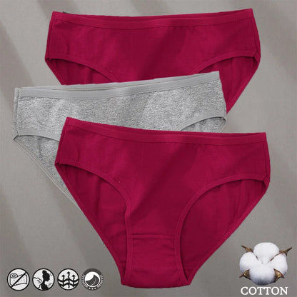 3PCS Cotton Jacquard Panties – Women's Underwear, Sexy Lingerie, Solid Color, Comfortable Briefs, Intimate Wear