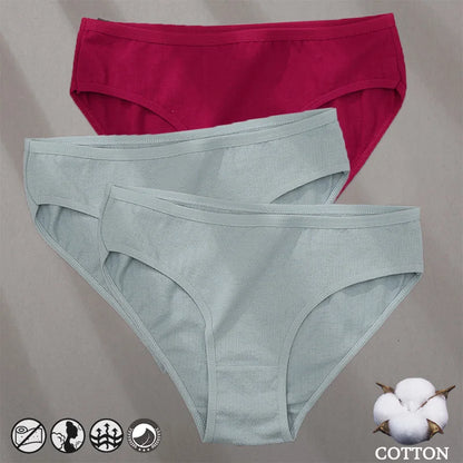 3PCS Cotton Jacquard Panties – Women's Underwear, Sexy Lingerie, Solid Color, Comfortable Briefs, Intimate Wear