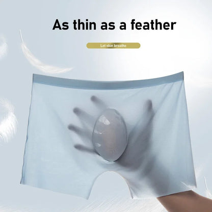 Men's Ice Silk Boxers – 10 Pcs/Lot, Seamless, Ultra-Thin, Breathable, Summer Sexy Underwear Shorts